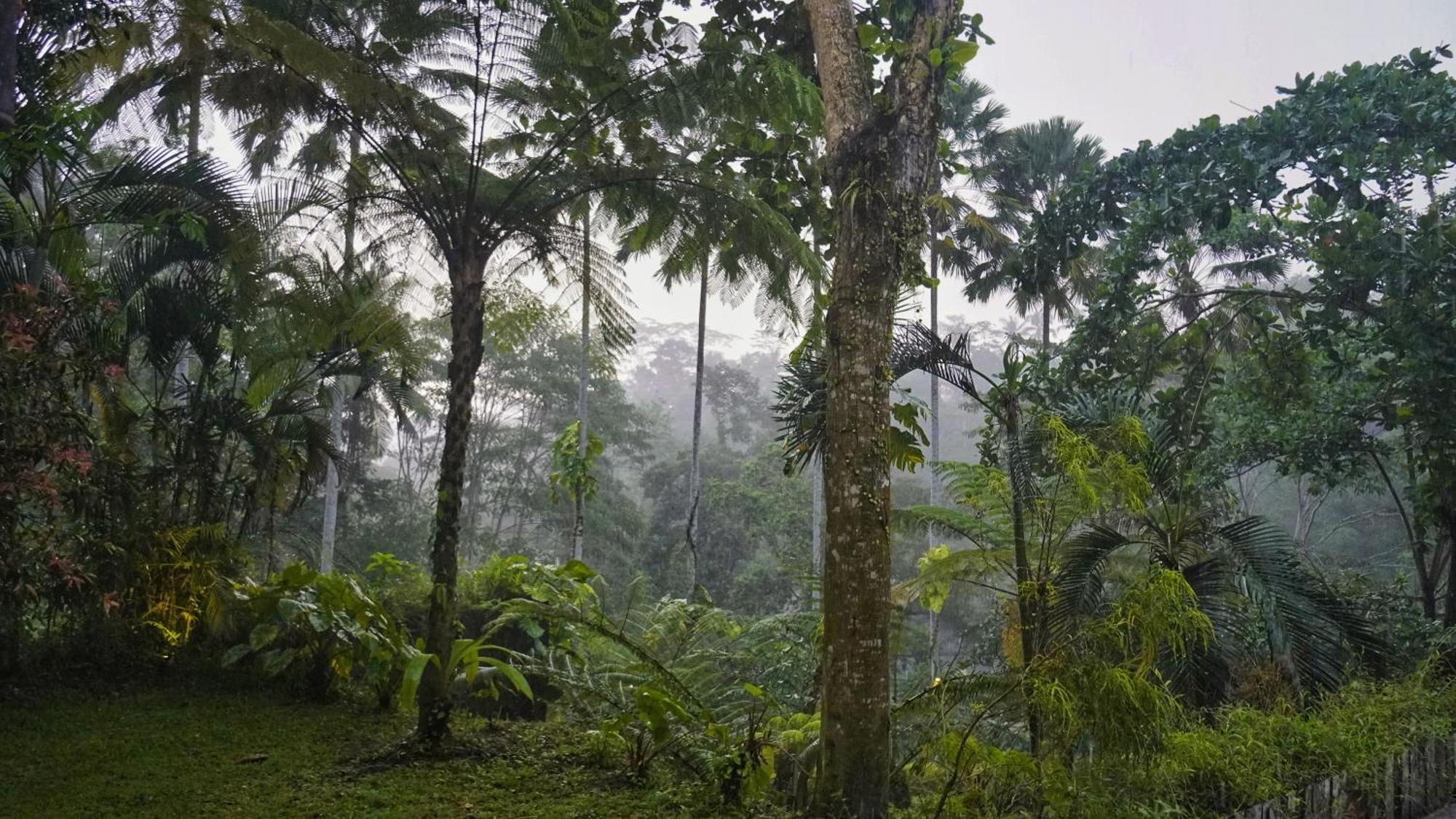 Sandhya Villa Ubud Kültér fotó