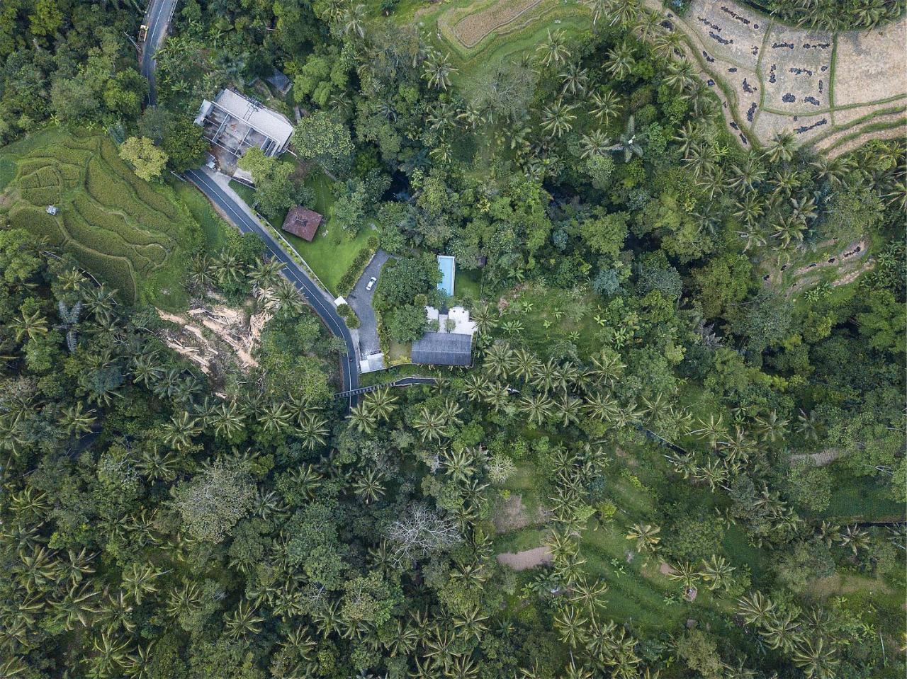 Sandhya Villa Ubud Kültér fotó